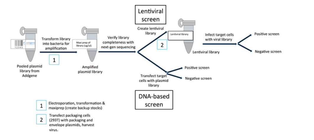 DNA-based&virus-based 图片